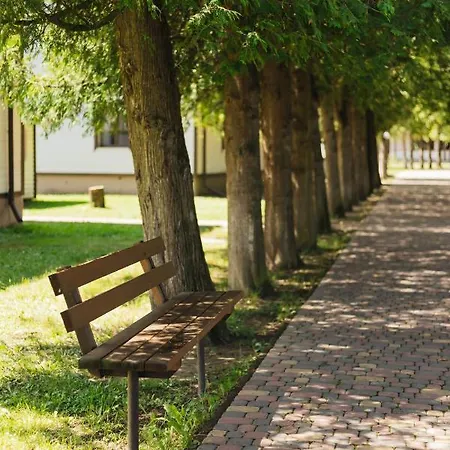 парк-готель там, де гори... Wyschnyzja