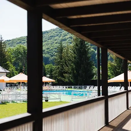 парк-готель там, де гори... Wyschnyzja